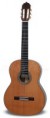 Guitarra de Cedro de Canadá